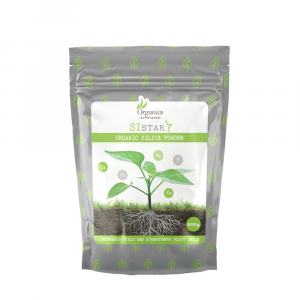 SI Star-Silizium 500 g
