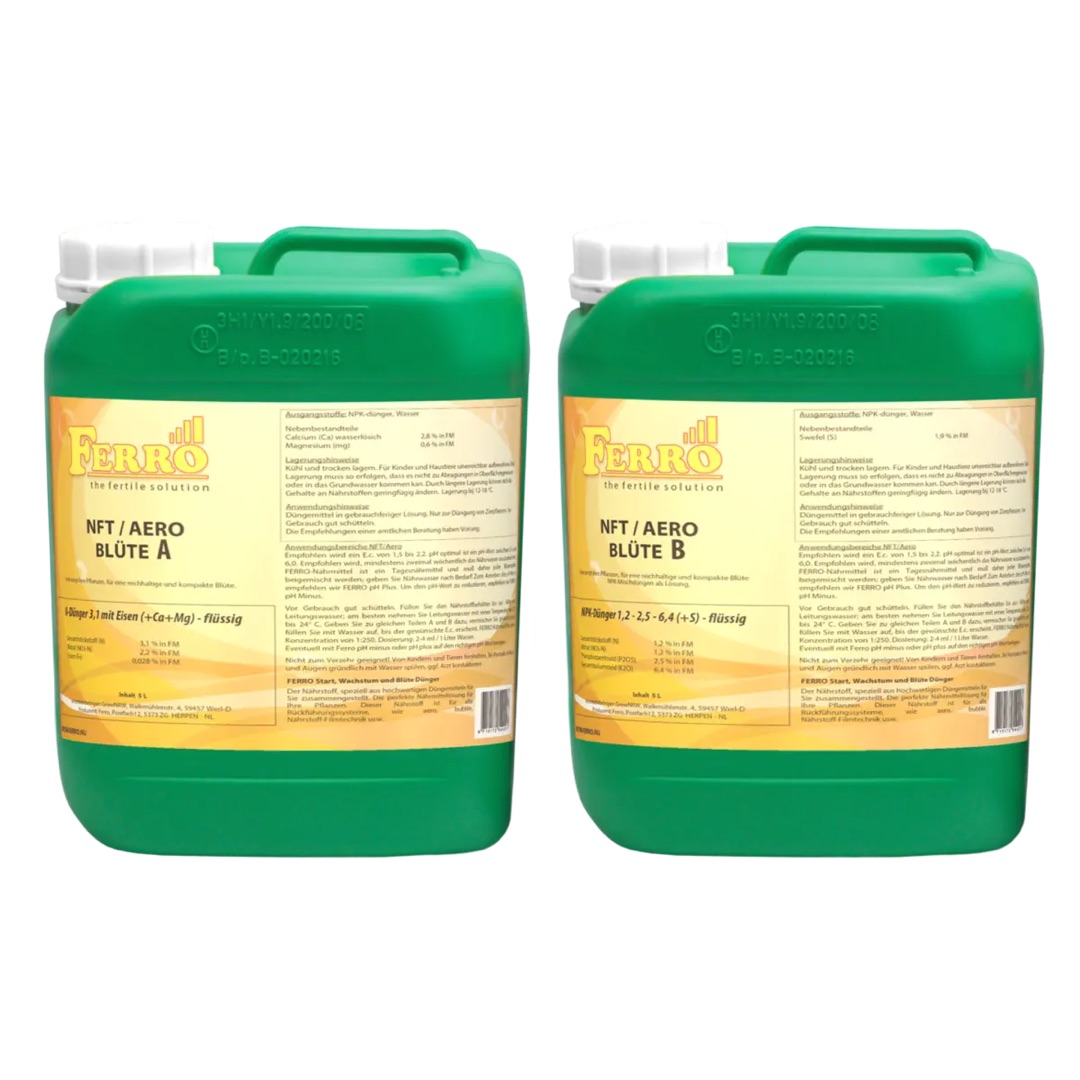 Ferro NFT/Aero Blüte A+B 5 L