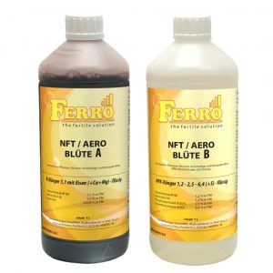 Ferro NFT/Aero Blüte A+B