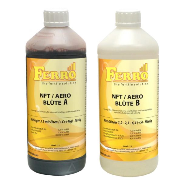 Ferro NFT/Aero Blüte A+B