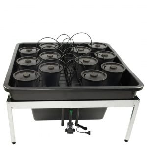 Aero Grow 19 M 100 x 100 cm