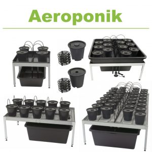 Aeroponik