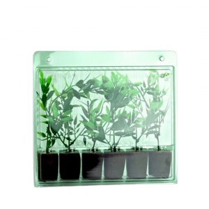 Steckling-Versandverpackung für 6 Pflanzen