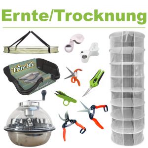 Ernte & Trocknung