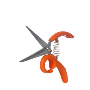 Blütenzauber Schere