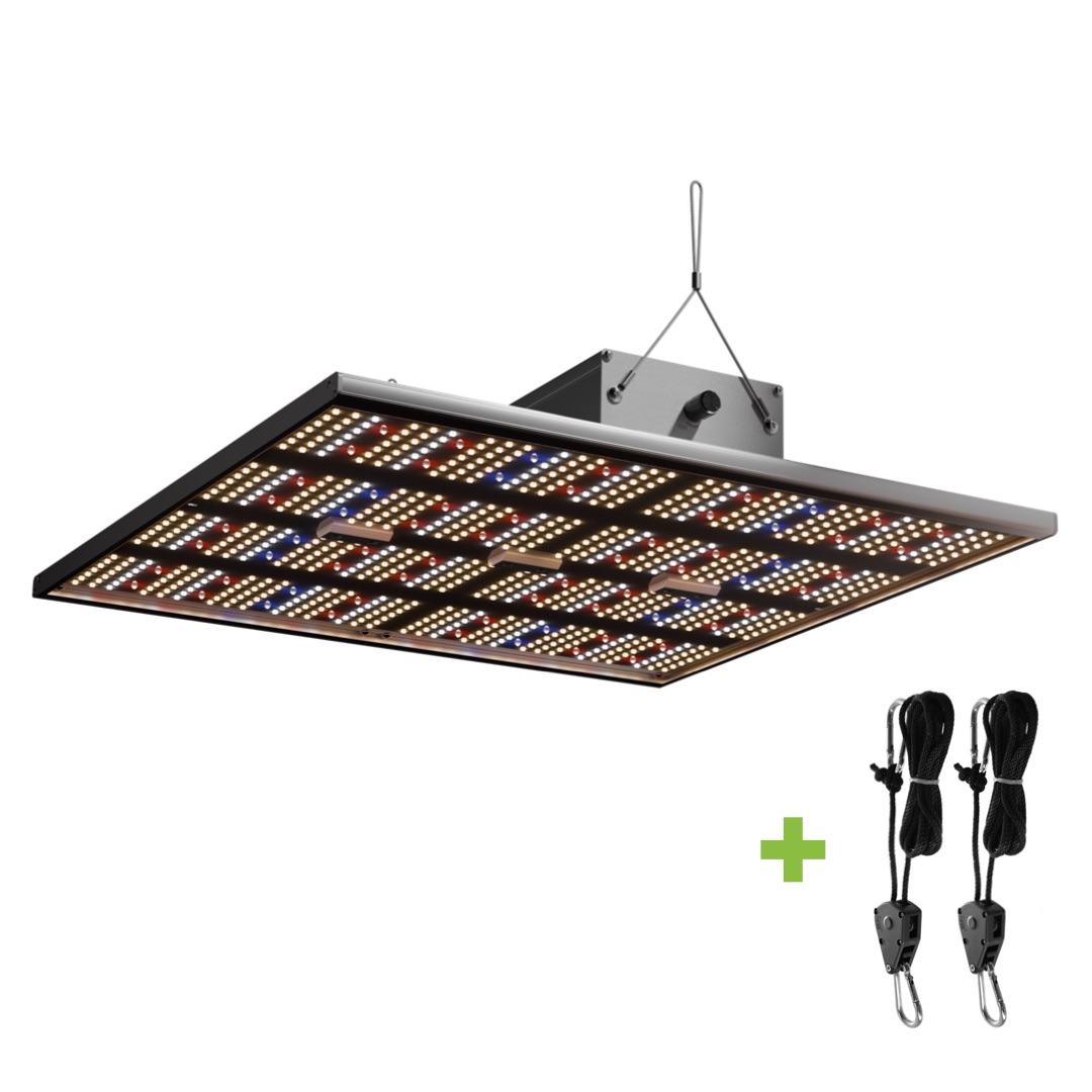 Caluma Force LED Dimmbar – 2.7 µmol/J – 240W