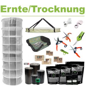 Ernte & Trocknung