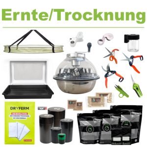 Ernte & Trocknung